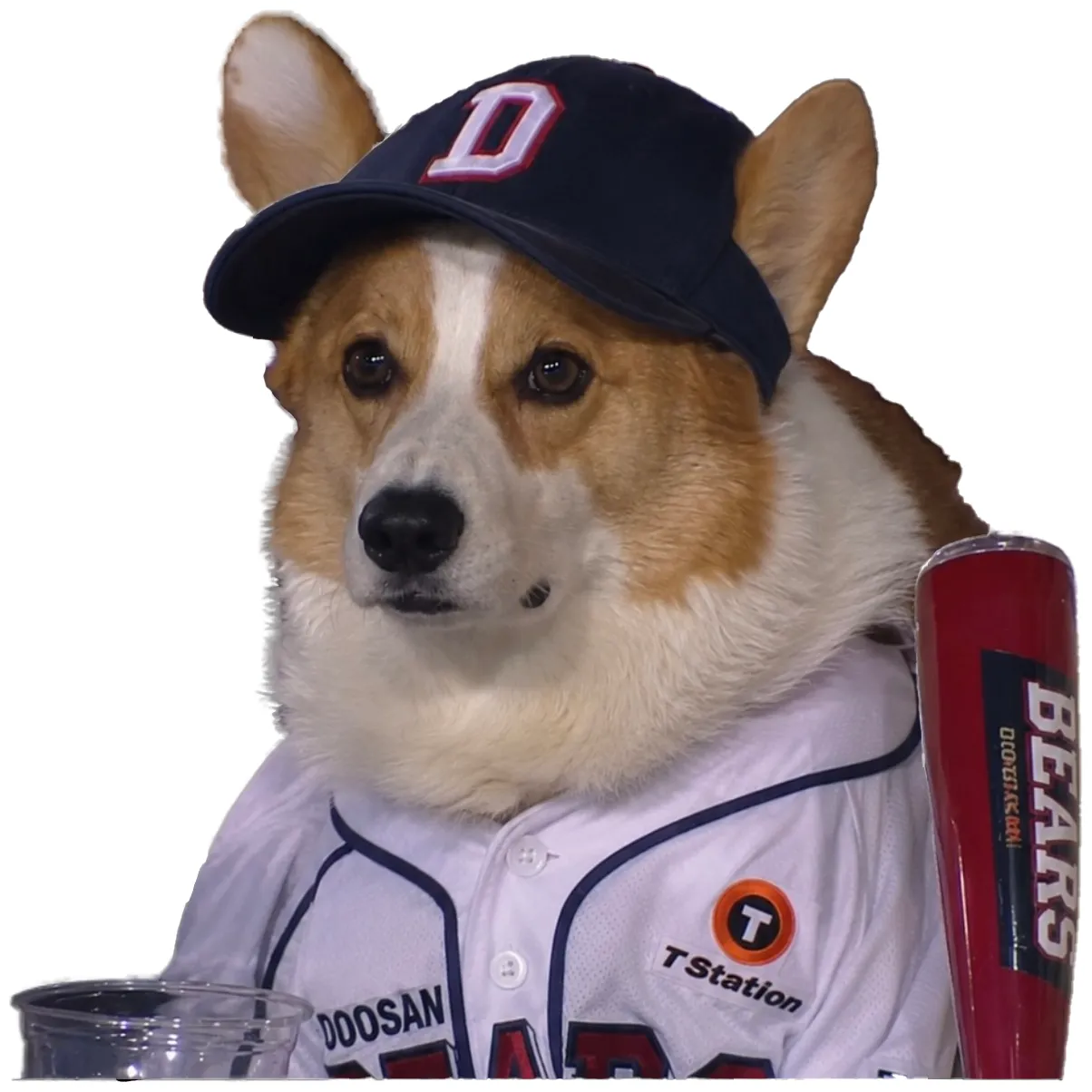 Dawg (not mine)